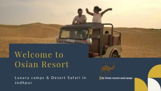 Desert Safari in Jodhpur