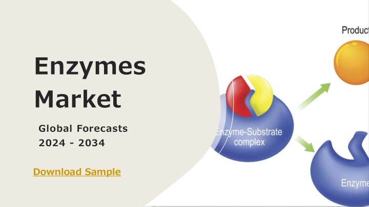 enzymes market global forecasts 2024 2034