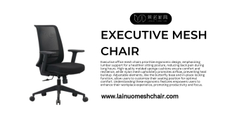 executive mesh chair