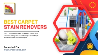 Best Carpet Stain Removers at Pro's Choice (1)