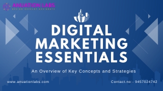 Digital marketing (pdf submission)