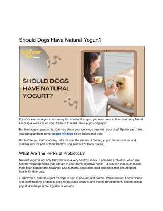 Should Dogs Have Natural Yogurt?