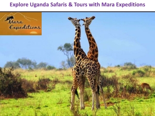 Explore Uganda Safaris & Tours with Mara Expeditions