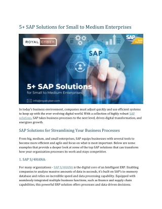 5  SAP Solutions for Small to Medium Enterprises
