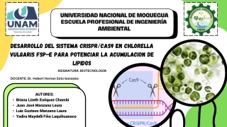 DESARROLLO DEL SISTEMA CRISPRCas9 -GRUPO 1