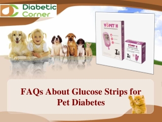 FAQs About Glucose Strips for Pet Diabetes