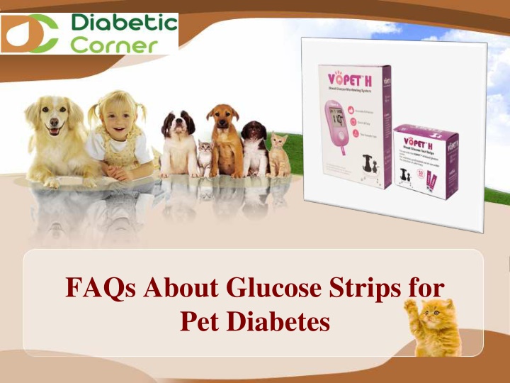 faqs about glucose strips for pet diabetes