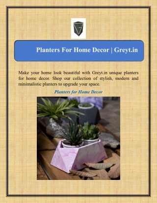 Planters For Home Decor | Greyt.in