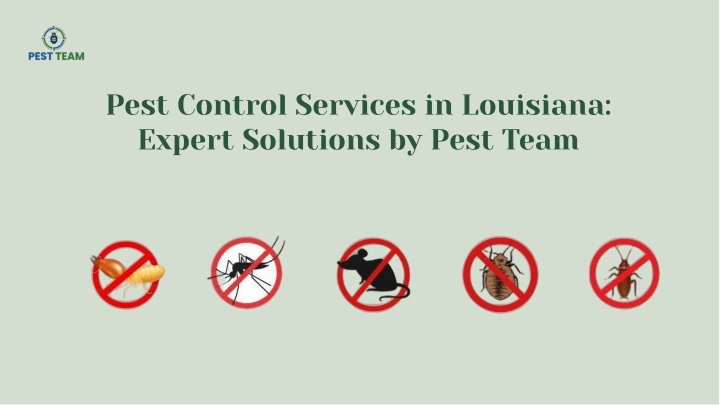 pest control services in louisiana expert