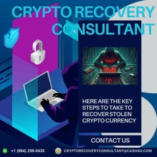RECLAIM YOUR STOLEN CRYPTOCURRENCY WITH CRYPTO RECOVERY CONSULTANT
