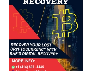 RECOVER LOST BTC, USDT AND OTHER CRYPTO ASSET THROUGH RAPID DIGITAL RECOVERY