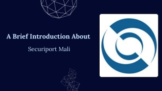 A Brief Introduction About Securiport Mali