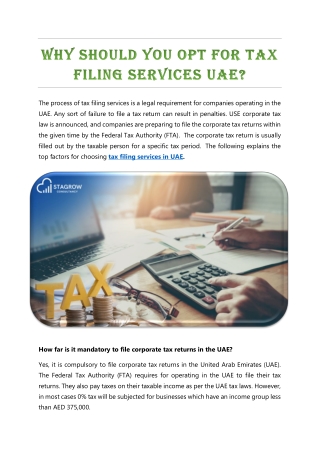 Why Should You Opt for Tax Filing Services UAE.docx