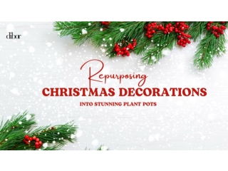 Repurposing Christmas Decorations into Stunning Plant Pots | Dibor