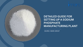 Setting Up a Sodium Phosphate Manufacturing Unit PDF