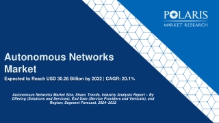 Autonomous Networks Market Size Worth $30.26 Billion by 2032 | CAGR: 20.1%