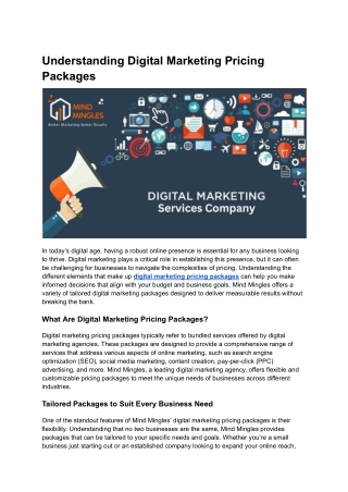 Understanding Digital Marketing Pricing Packages with Mind Mingles