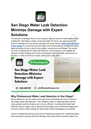 San Diego Water Leak Detection_ Minimize Damage with Expert Solutions (1)