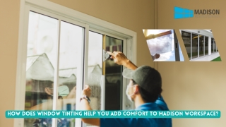 How Does Window Tinting Help You Add Comfort to Madison Workspace