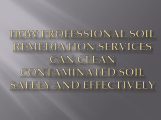 How Professional Soil Remediation Services Can Clean Contaminated Soil Safely an