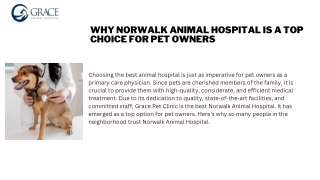 Why Norwalk Animal Hospital Is a Top Choice for Pet Owners