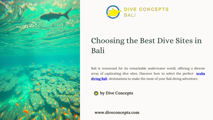 choosing the best dive sites in bali bali