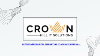 Top Digital marketing IT company Mohali- Crown Hill IT Solutions.