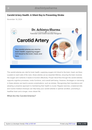 Carotid Artery Health: Protecting Your Brain’s Lifeline