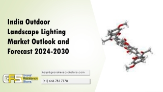 India Outdoor Landscape Lighting Market Outlook and Forecast 2024-2030