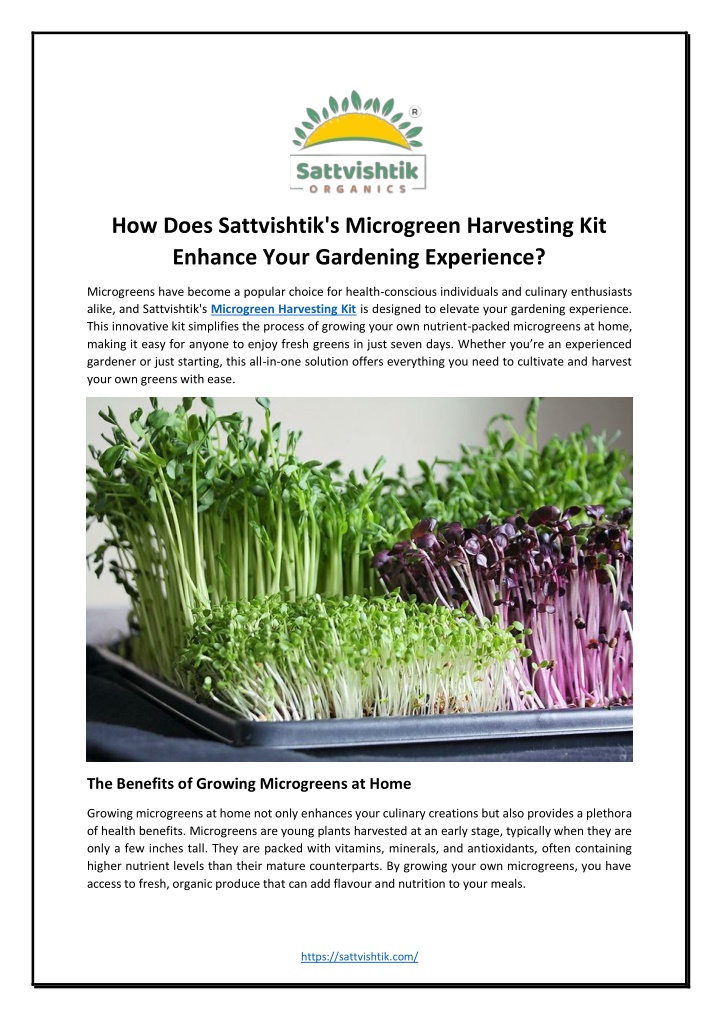 how does sattvishtik s microgreen harvesting