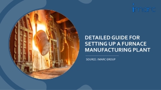 Cost to Setup a Furnace Manufacturing Plant Report PDF