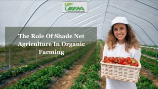 The Role Of Shade Net Agriculture In Organic Farming