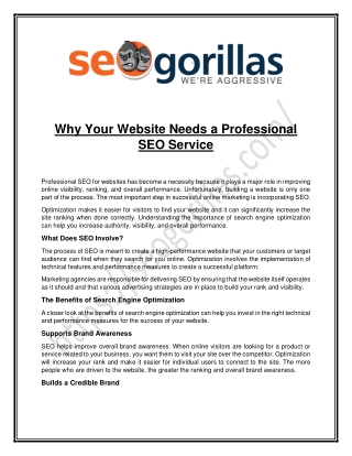 Why Your Website Needs a Professional SEO Service
