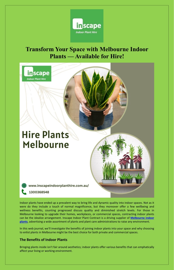 transform your space with melbourne indoor plants