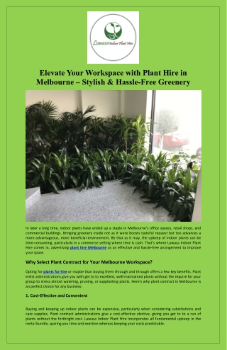 Elevate Your Workspace with Plant Hire in Melbourne – Stylish & Hassle-Free Greenery