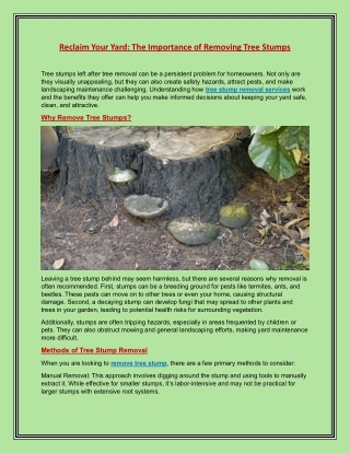 Reclaim Your Yard The Importance of Removing Tree Stumps