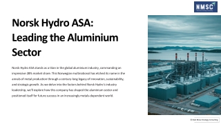 Norsk Hydro Asa, Leading the Aluminium Sector With Around 28 Percentage Share