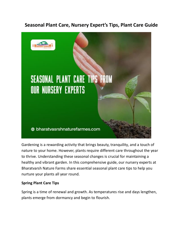 seasonal plant care nursery expert s tips plant