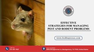 Effective  Strategies for Managing  Pest and Rodent Problems