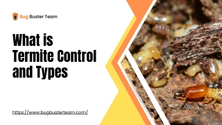 what is termite control and types