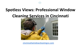 spotless views professional window cleaning