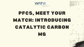 PFCs, Meet your Match: Introducing Catalytic Carbon MG