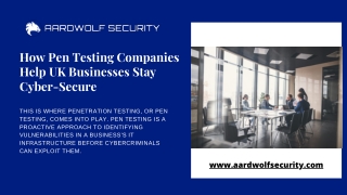 Role of Pen Testing Companies in Cybersecurity - Aardwolf Security