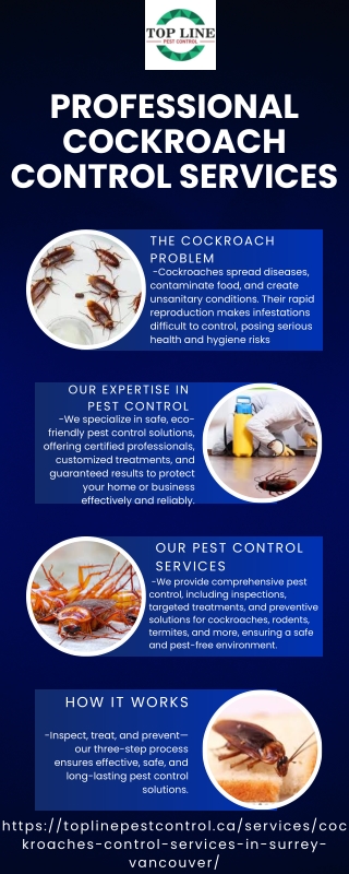 Professional Cockroach Control Services