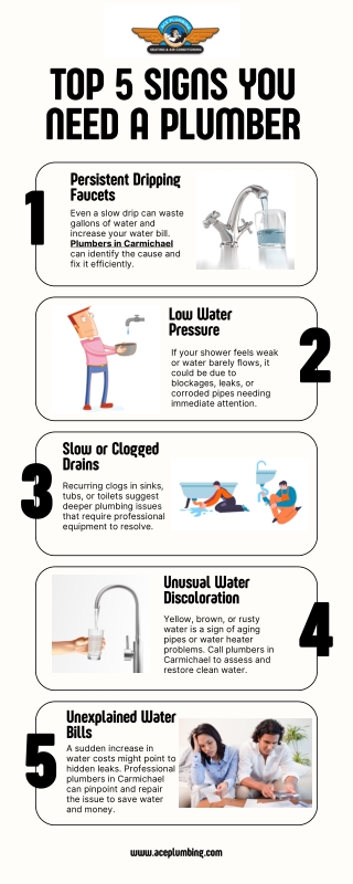 Top 5 Signs You Need a Plumber