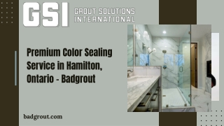 Premium Color Sealing Service in Hamilton, Ontario – Badgrout