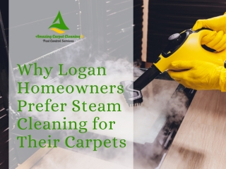 Why Logan Homeowners Prefer Steam Cleaning for Their Carpets