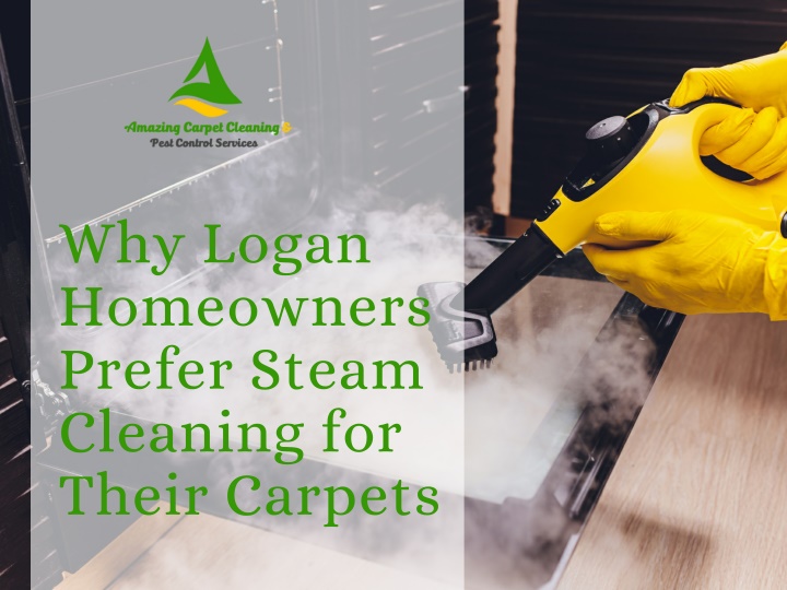 why logan homeowners prefer steam cleaning