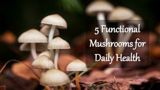 5 functional mushrooms for daily health