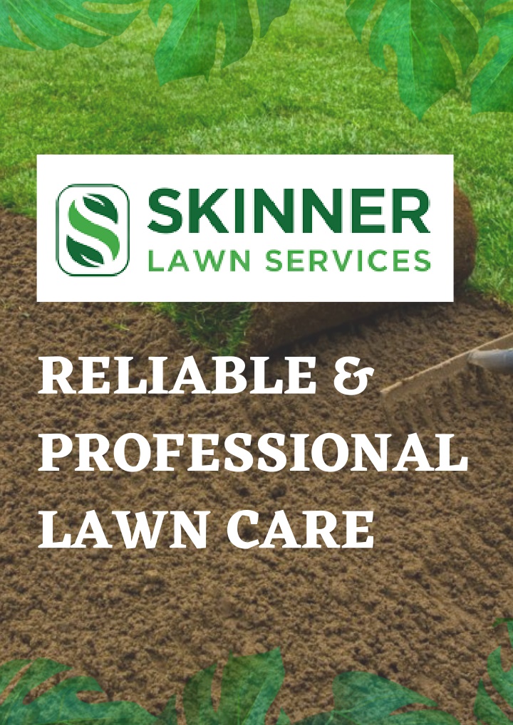 reliable professional lawn care